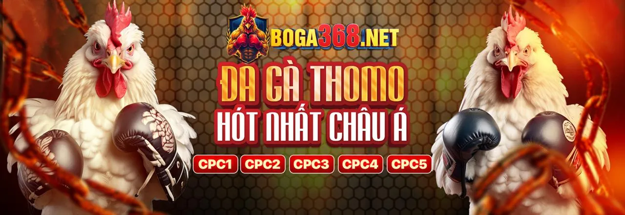 Hình ảnh giới thiệu Vin55 - nền tảng cá cược trực tuyến hàng đầu 2026